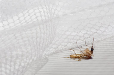 How Specials Fibers are Helping to Combat Malaria?