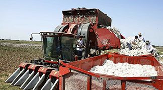 Turkey and Azerbaijan Cotton Cooperation cotton harvester