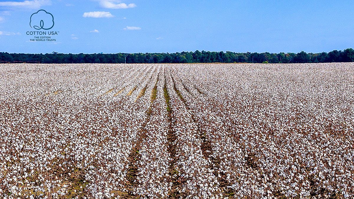 COTTON USA Yeni Pamuk Standartlarını Heimtextil’de Gösterecek