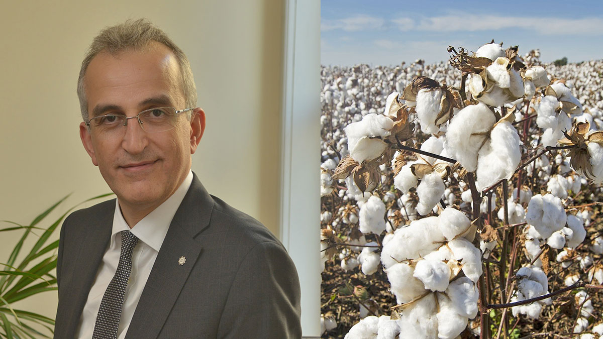 From Farm to Brand Cotton Workshop Report by ISO 