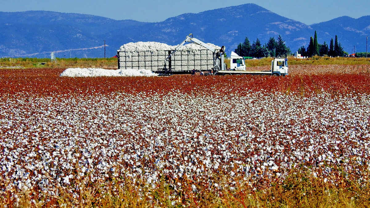 Greece joins the Better Cotton Initiative