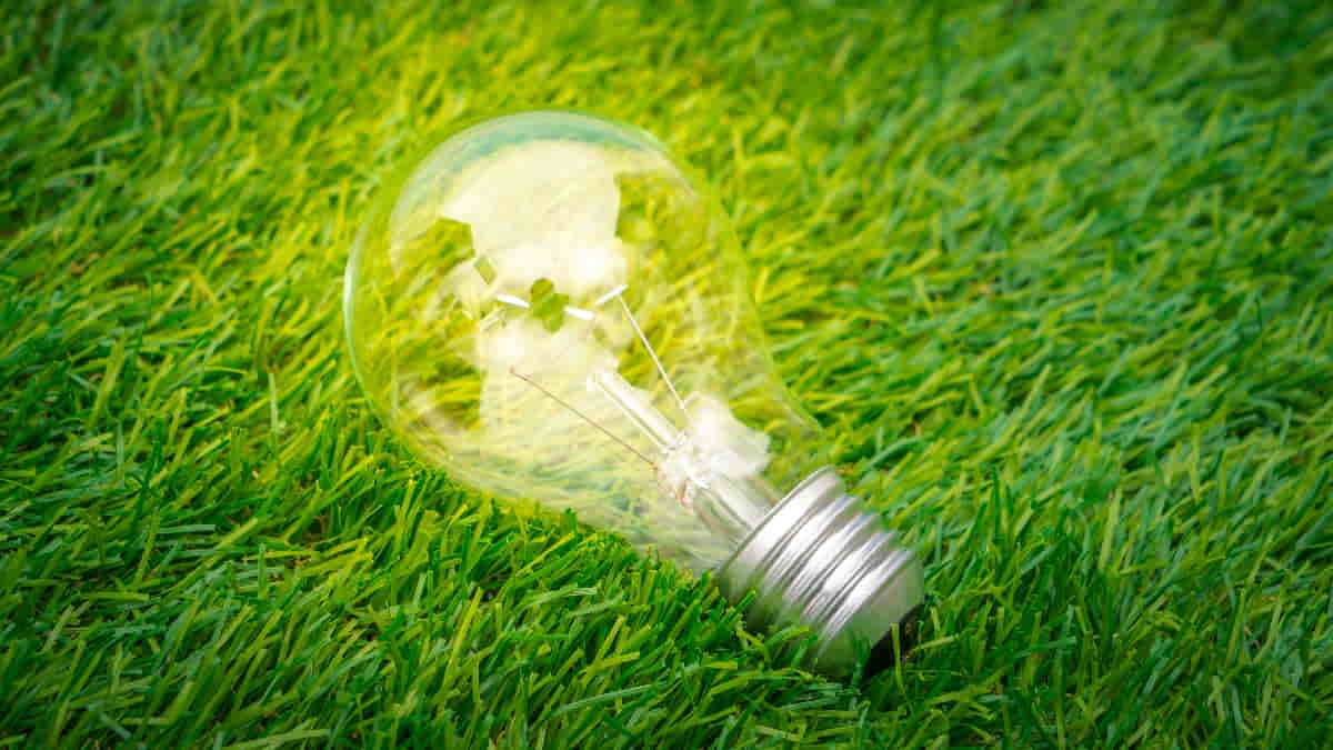 Savings and efficiency are priorities for green transformation in energy