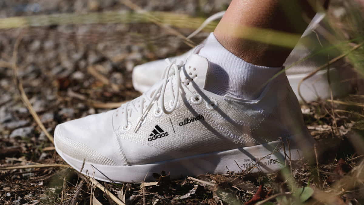 adidas ve Allbirds’ten yeni düşük karbonlu ‘adım’