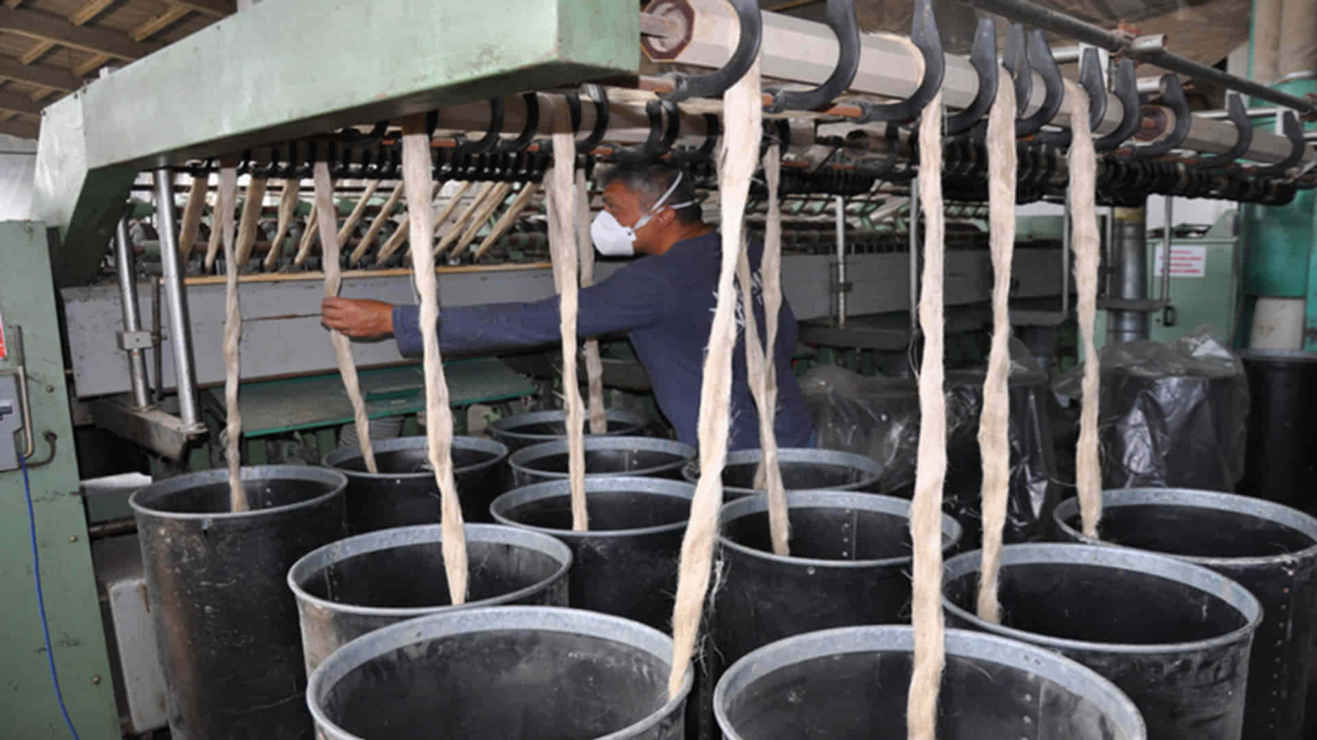 Kapalı kenevir işleme fabrikası yeniden iplik üretimine başlıyor Görsel Kaynak: AA