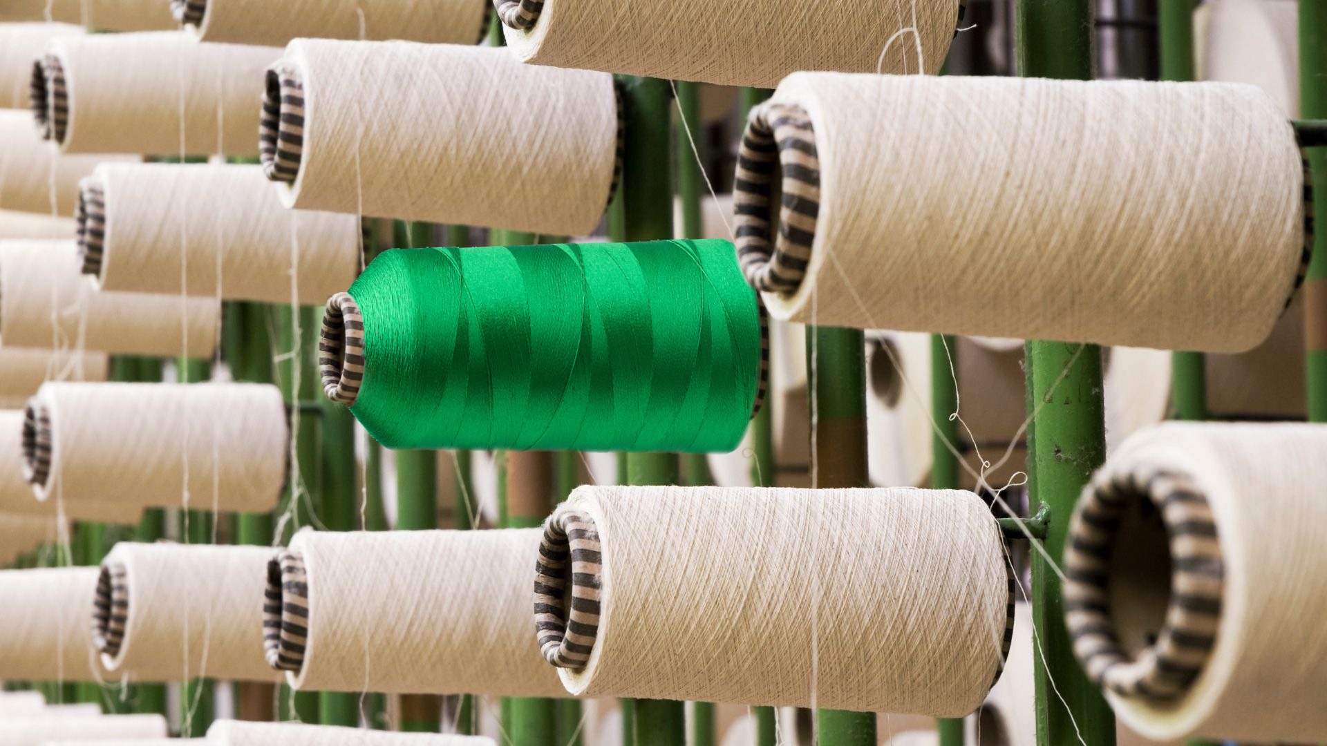 The limits of textile production: Sustainable Growth or Controlled Scaling?